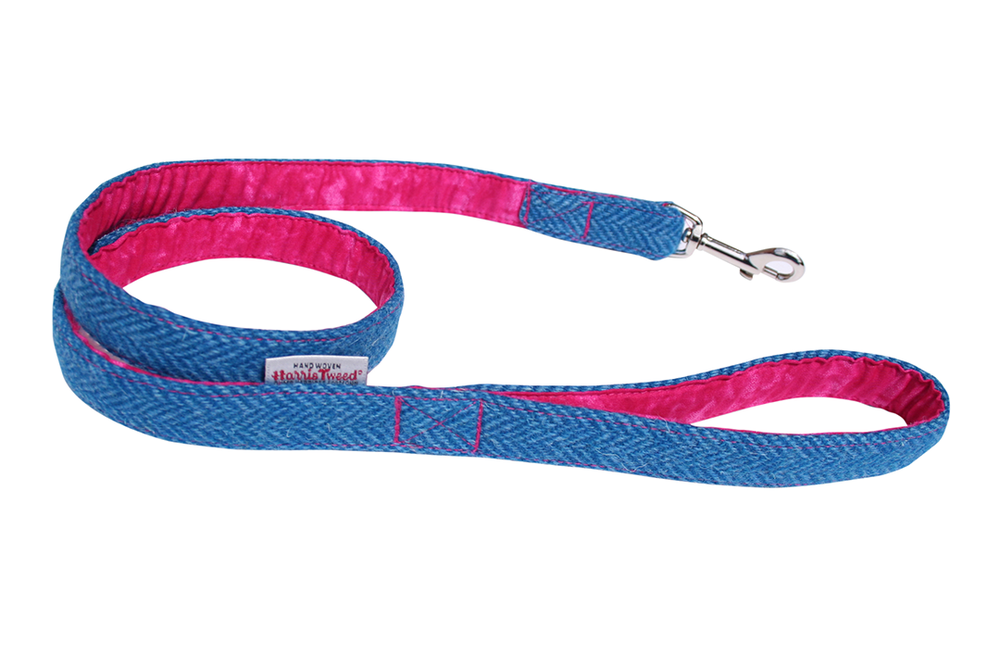 Image from: Best dog leads 2026, tested on walks with an energetic golden retriever