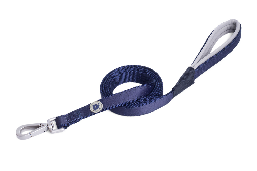 Image from: Best dog leads 2026, tested on walks with an energetic golden retriever