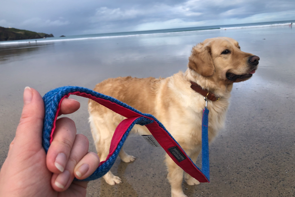 Its strong nylon inner core adds some serious muscle (Abby Driver/The Independent)