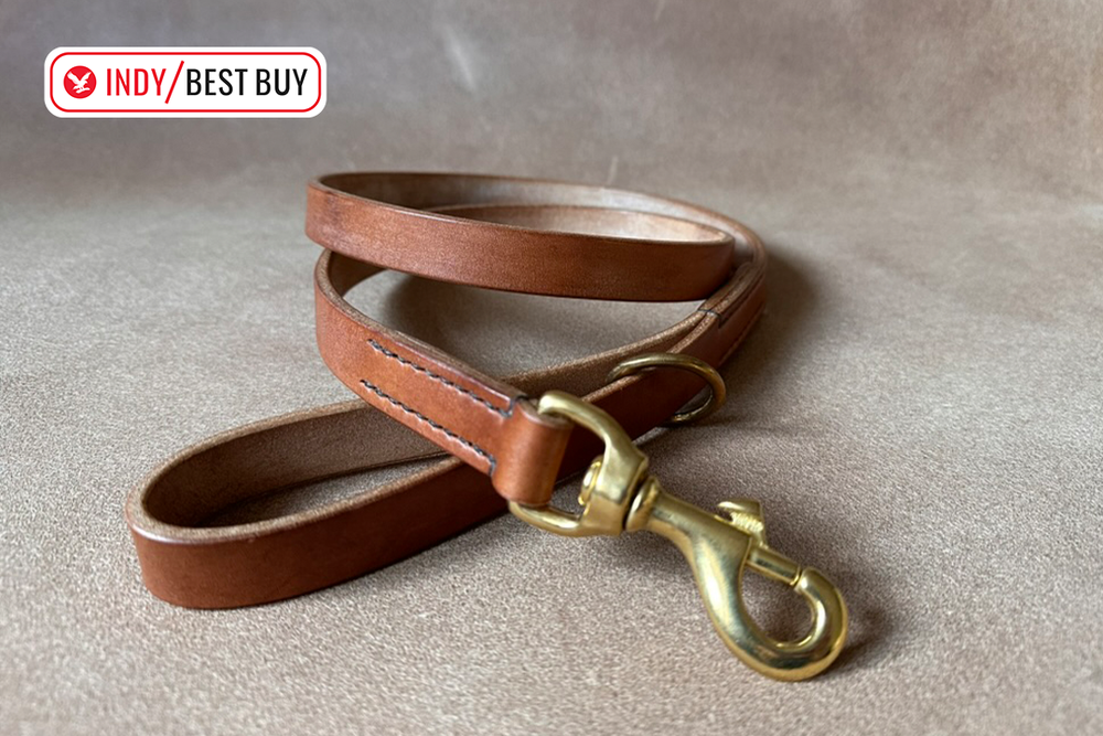 Image from: Best dog leads 2026, tested on walks with an energetic golden retriever