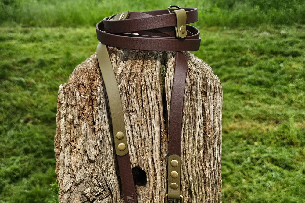 Image from: Best dog leads 2026, tested on walks with an energetic golden retriever
