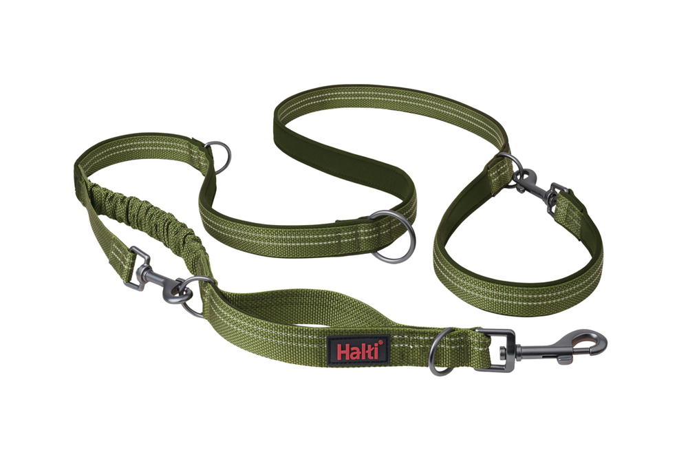 Image from: Best dog leads 2026, tested on walks with an energetic golden retriever