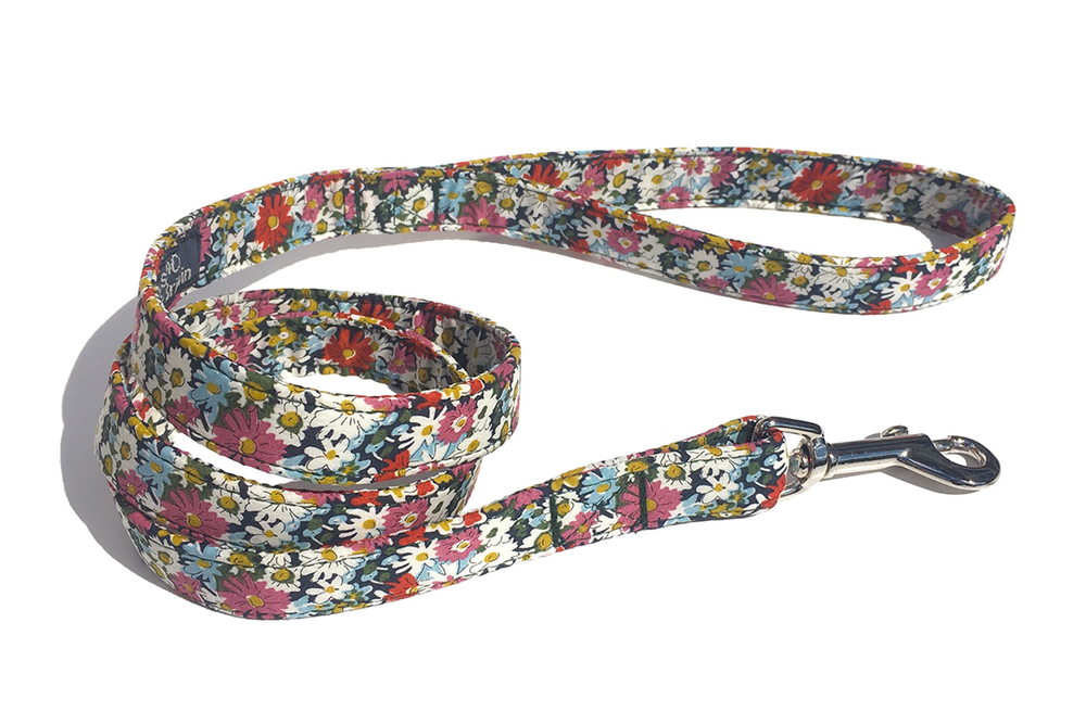 Image from: Best dog leads 2026, tested on walks with an energetic golden retriever