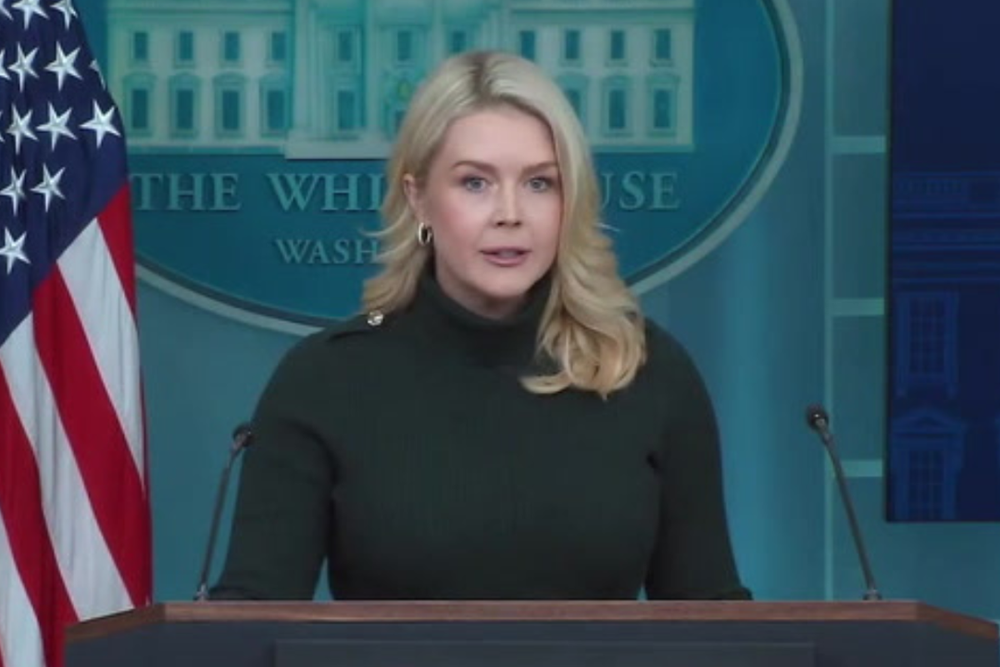 White House blames Minnesota Democrats and distances Trump from Alex ...