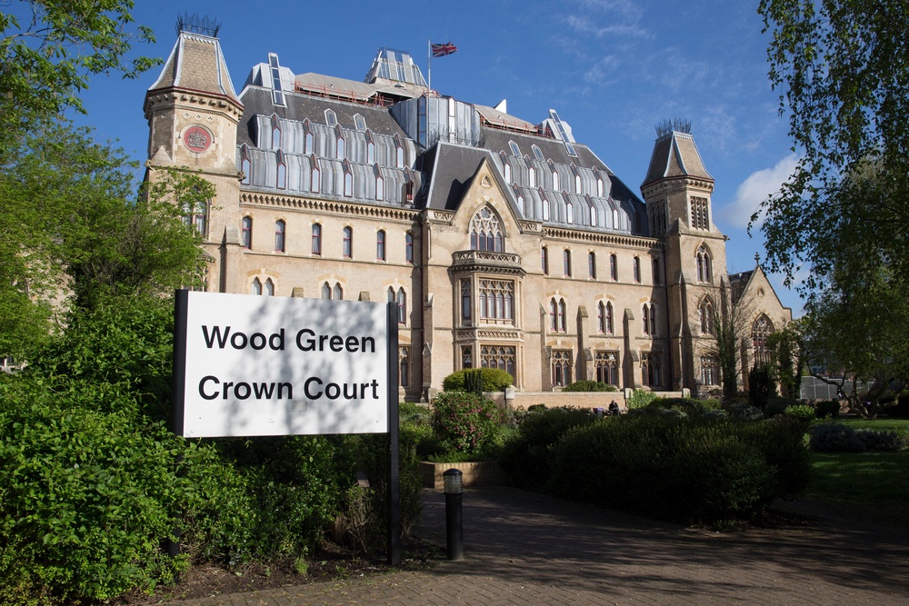 Davidson was sentenced at Wood Green Crown Court (Alamy/PA)