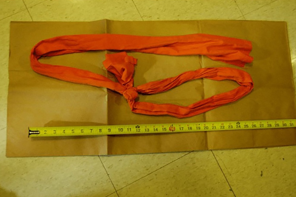 Medical examiners determined Epstein used a piece of rope-like fabric to hang himself, though his cellmates say the sex offender asked how to make a noose and similarly tried to kill himself with a sheet (Department of Justice)