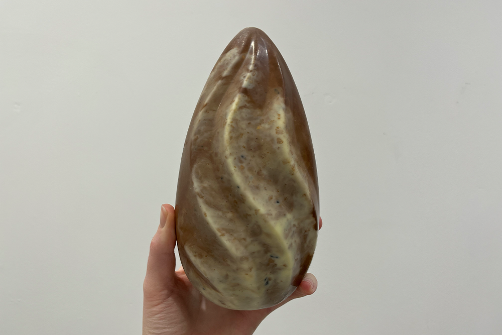 The shell has a smooth rippled design (Alice Reynolds/The Independent)