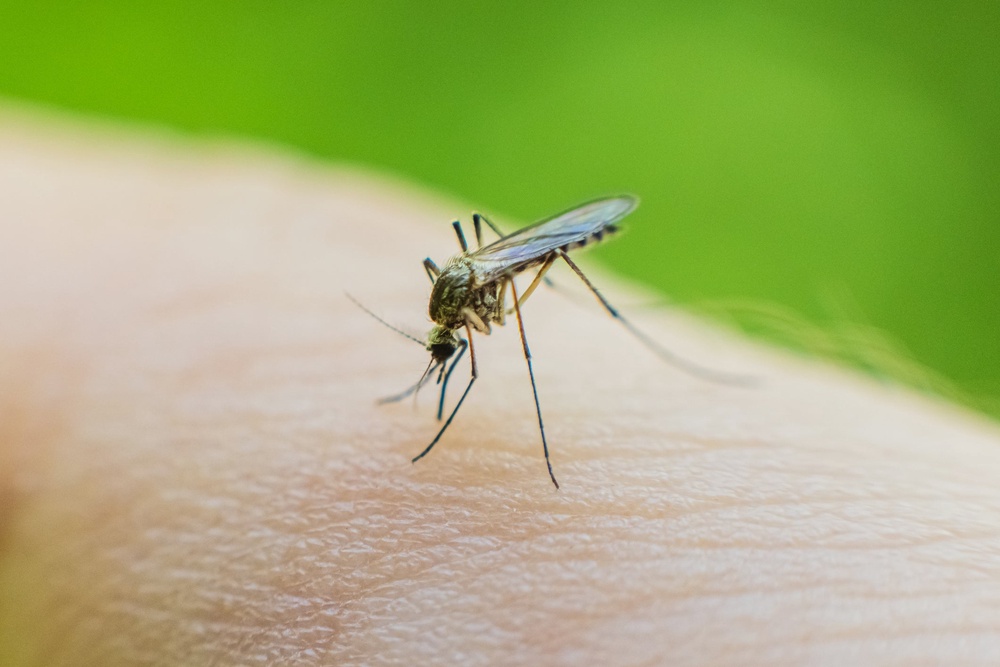 DEET, while highly effective, also has drawbacks, including a strong odour and a risk of irritating sensitive skin (Getty/iStock)