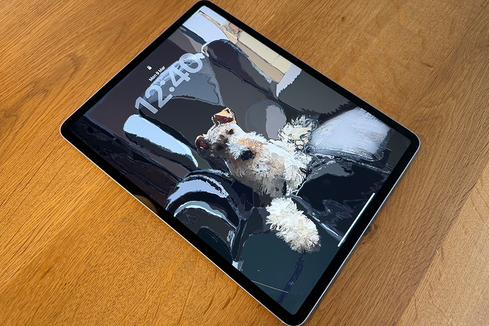 I looked at how rich and detailed the screen is and how well apps worked on the new device (David Phelan/The Independent)