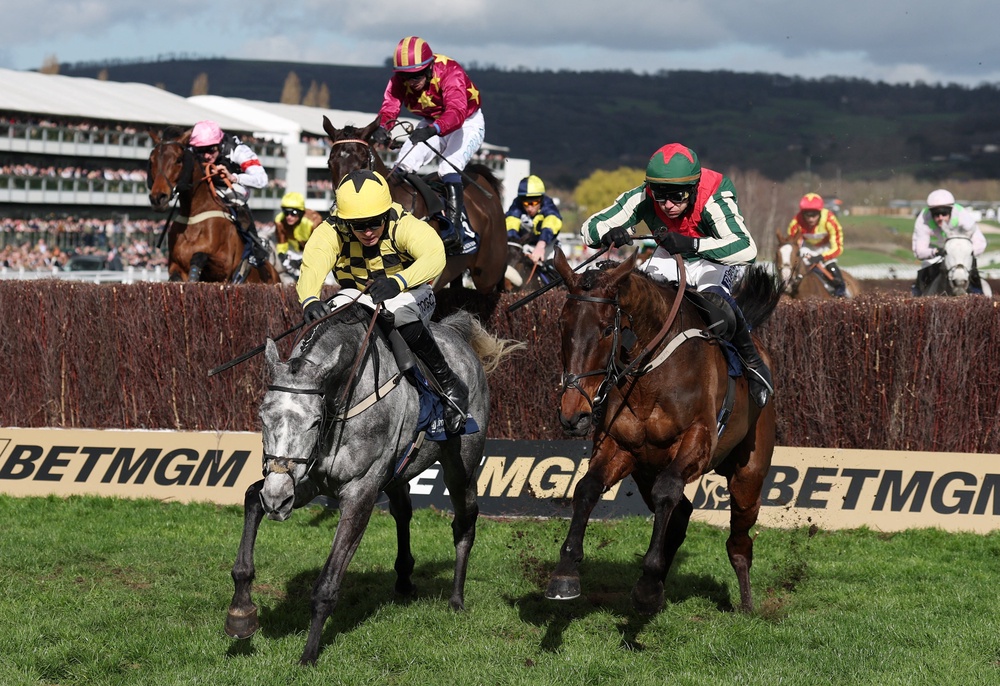 Kitzbuhel won the Brown Advisory Chase at Cheltenham but it was the showing of Oscars Brother that impressed the most (Action Images/Reuters)