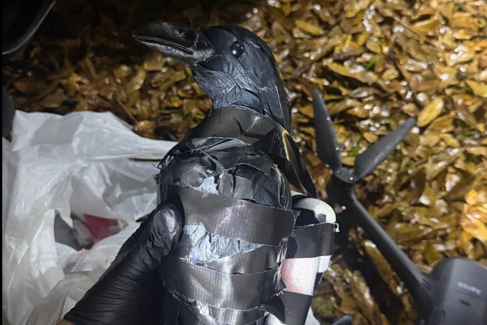 Texas women tried to fly meth into prison yard using drone disguised as ...