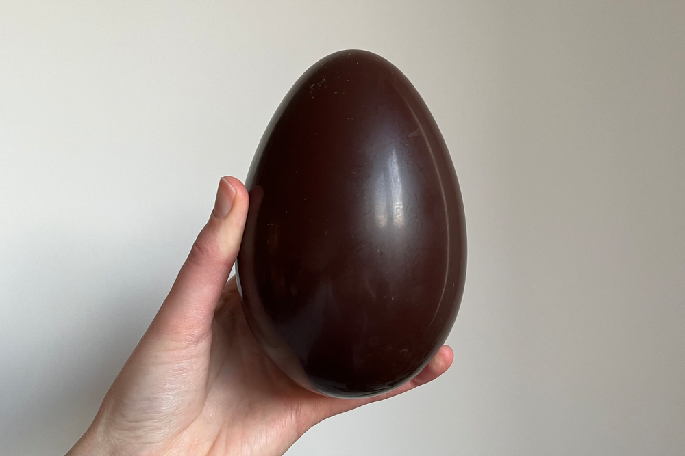 The shell has an attractive gloss (Alice Reynolds/The Independent)