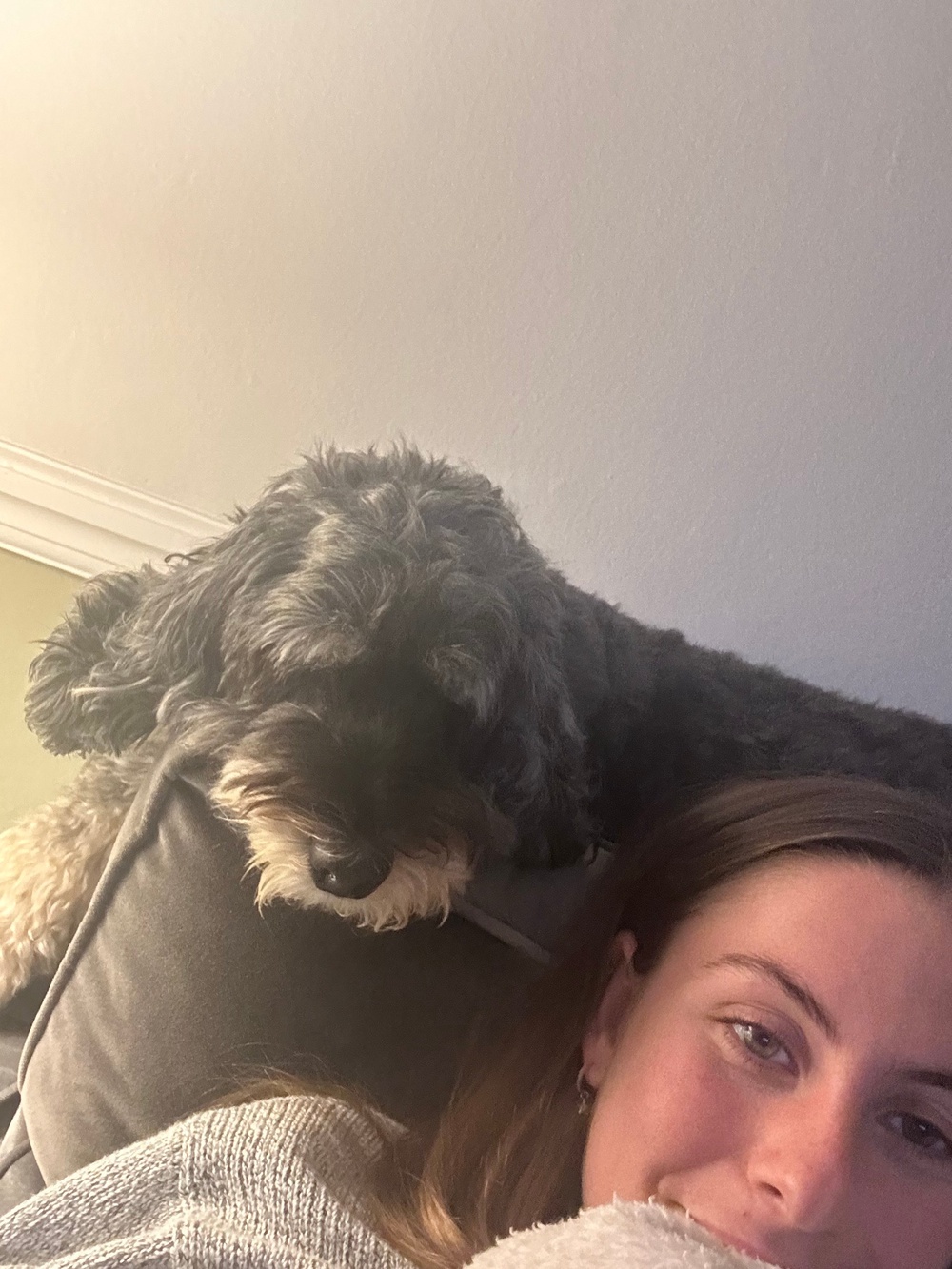 Is my cockapoo a nut job because of me – or is it the breed? - Newswav