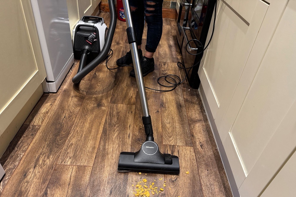 This took to my hardwood floors instantly (Jo Plumridge/The Independent)