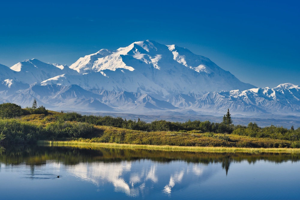 Denali, as seen from Reflection Pond in Denali National Park (Getty Images/iStockphoto)