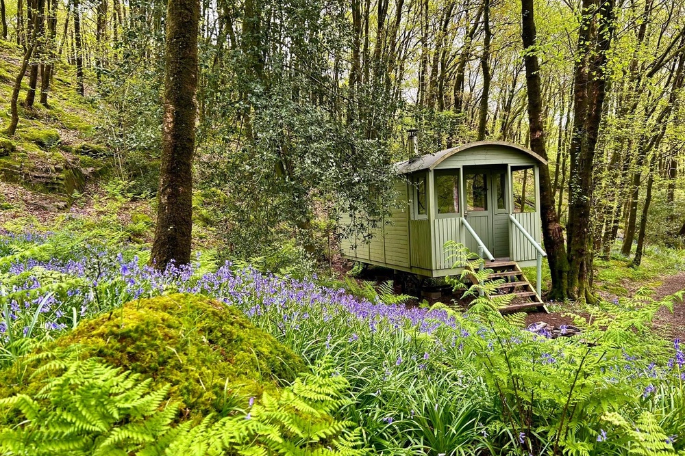 Grizedale offers yurts, pods and a bunk barn alongside traditional options (Grizedale Campsite)