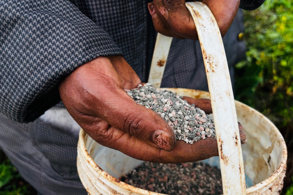 A farmer applies fertiliser to her land in Limuru, Kenya (AP)