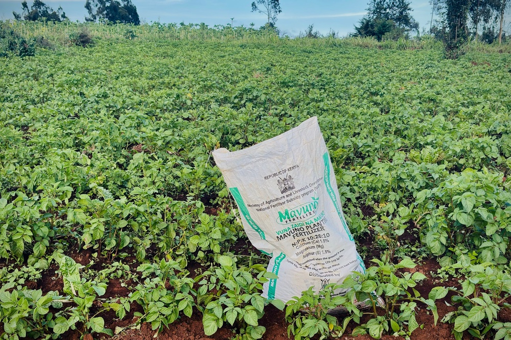 A bag of fertiliser ready to be used on farmland in Limuru, Kenya (AP)