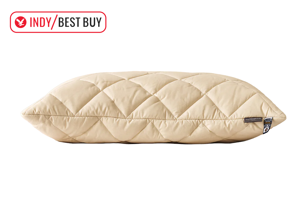 Image from: 10 best anti-allergy and hypoallergenic pillows, tried and tested
