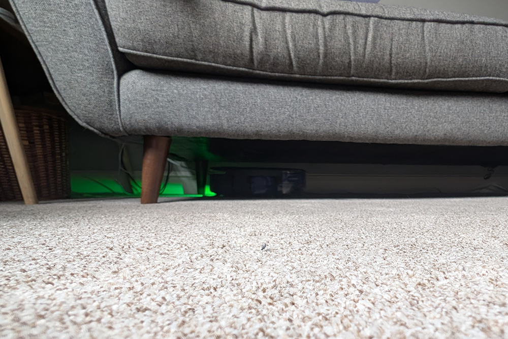  (Joanne Lewsley/The Independent)