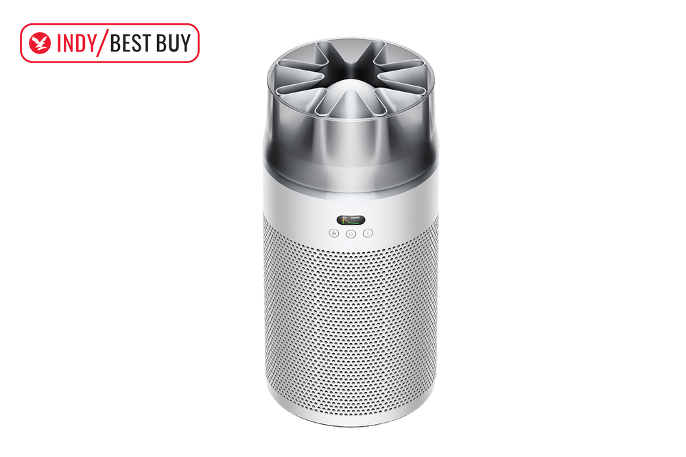 Image from: 14 best air purifiers to banish dust, allergens and irritants