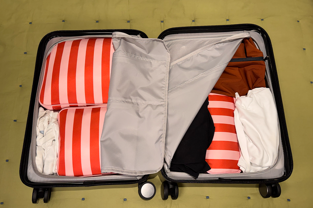  (Alessia Armenise/The Independent)