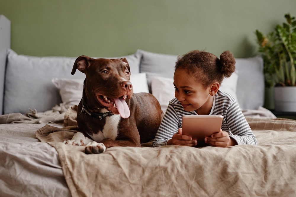 Landlords cannot refuse requests if they do not like pets (Getty/iStock)