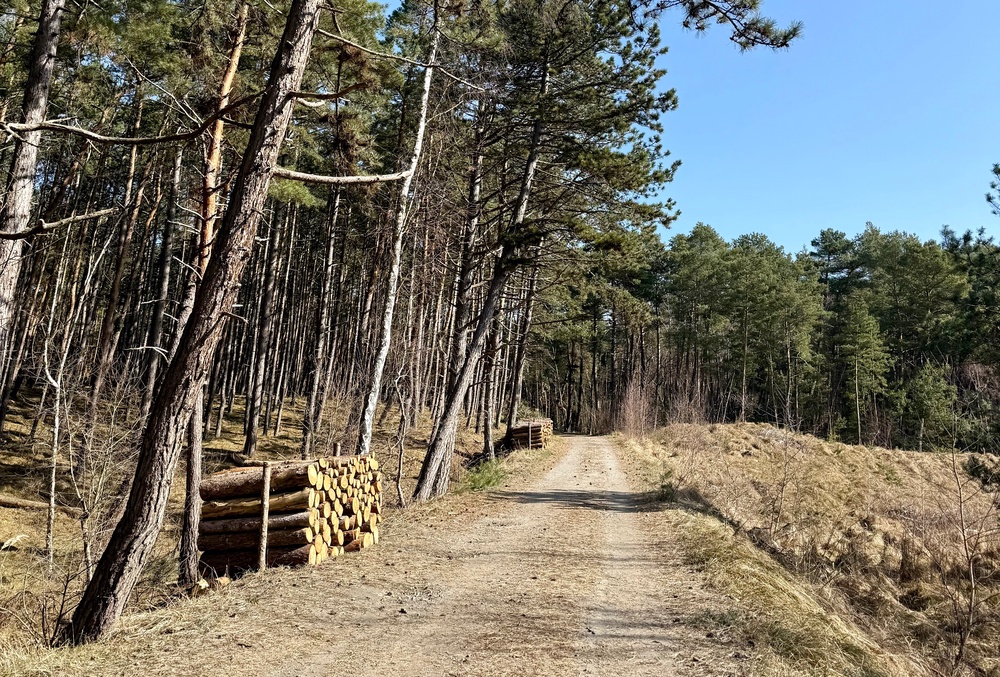 Walk from Piaski to the Kaliningrad border with Russia (Annabel Grossman/The Independent)