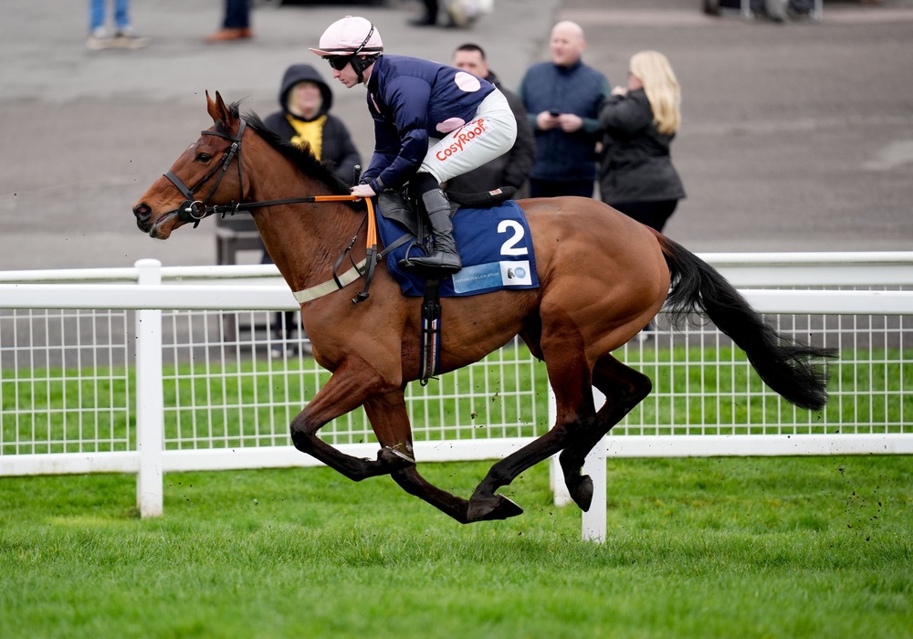 Get On George was put down at Aintree (PA)