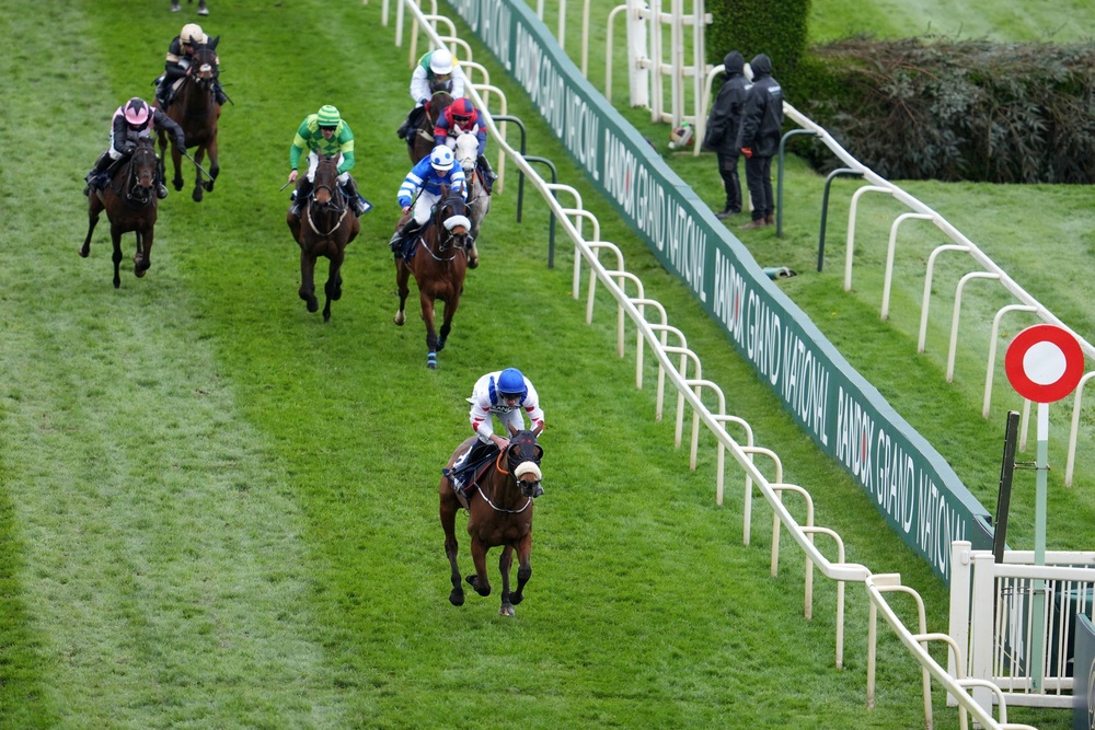 Ferguson's horse, Wade Out, stormed to victory (AP)