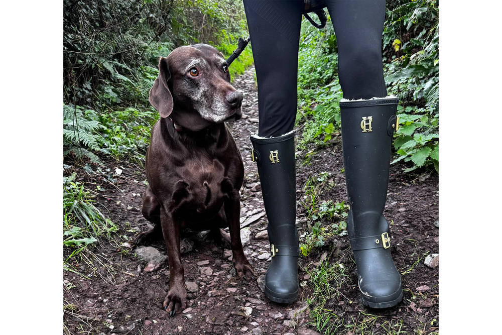 Pull these on for cold walks (Clare O'Reilly/The Independent)