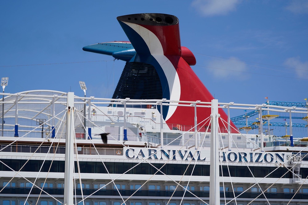 The teenage boy ‘allegedly sexually assaulted and intentionally killed’ his stepsister on a cruise vacation last November, according to federal prosecutors (AP)