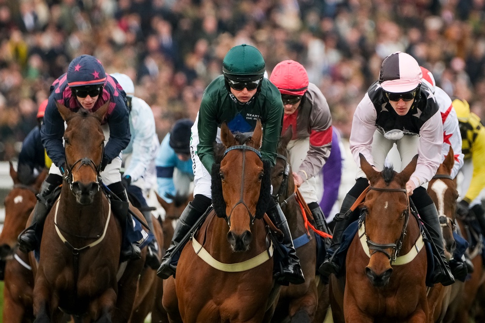 Williams has trained winners at the Cheltenham Festival (Getty)