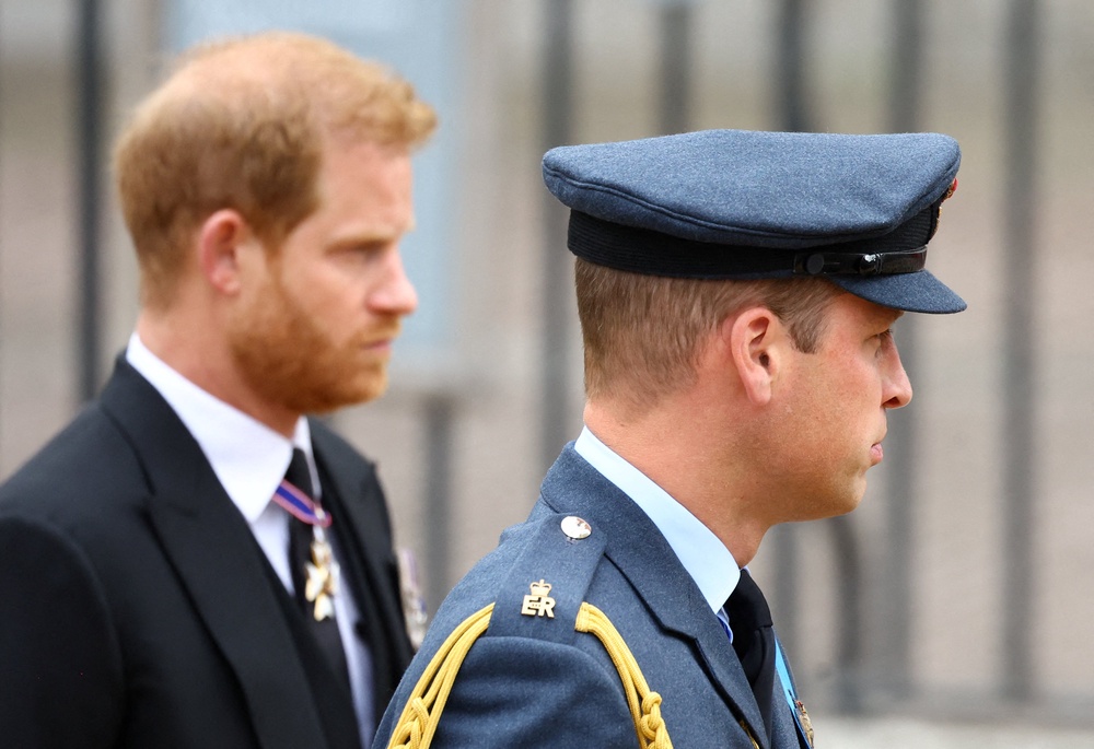 One in four are estimated to be estranged from a sibling, like Princes William and Harry (AFP/Getty)
