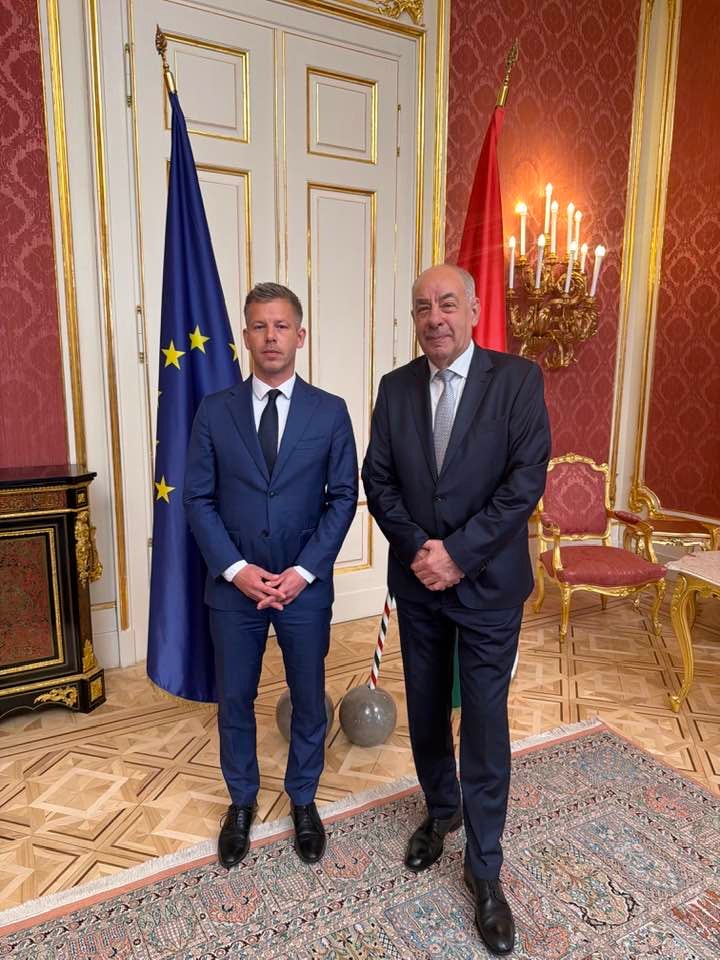 Peter Magyar shared a photograph of himself with president Dr. Tamás Sulyok in a tense standoff (Peter Magyar / X)