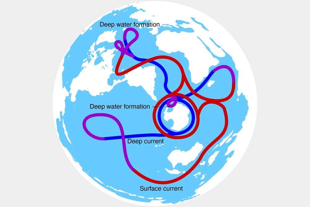 The Amoc is the Atlantic Ocean’s main current (Wikimedia/@Avsa)