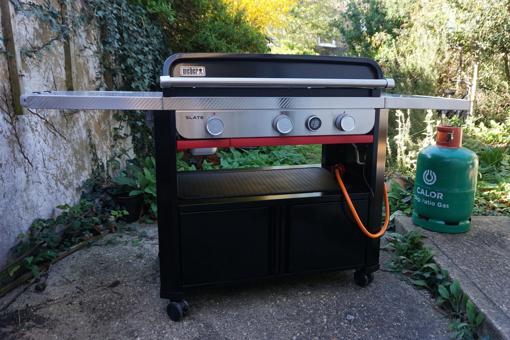 This cooks delicate foods well (Flora Baker/The Independent)