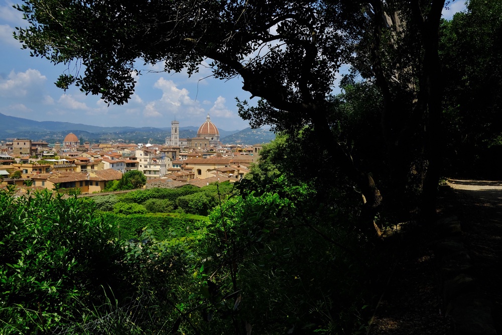 A panorama view from Boboli Garden in central Florence. (AFP/Getty)