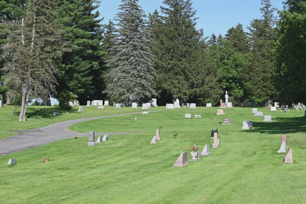 East Lawn Cemetery's undisturbed soil, minimal pesticide use and rarely disturbed ground create ideal nesting conditions, researchers said (Bryan Danforth)