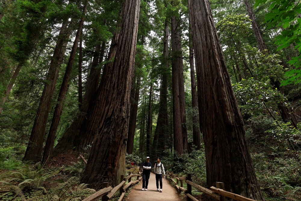 The study’s findings build on past research showing the importance of connectedness to nature (Getty)