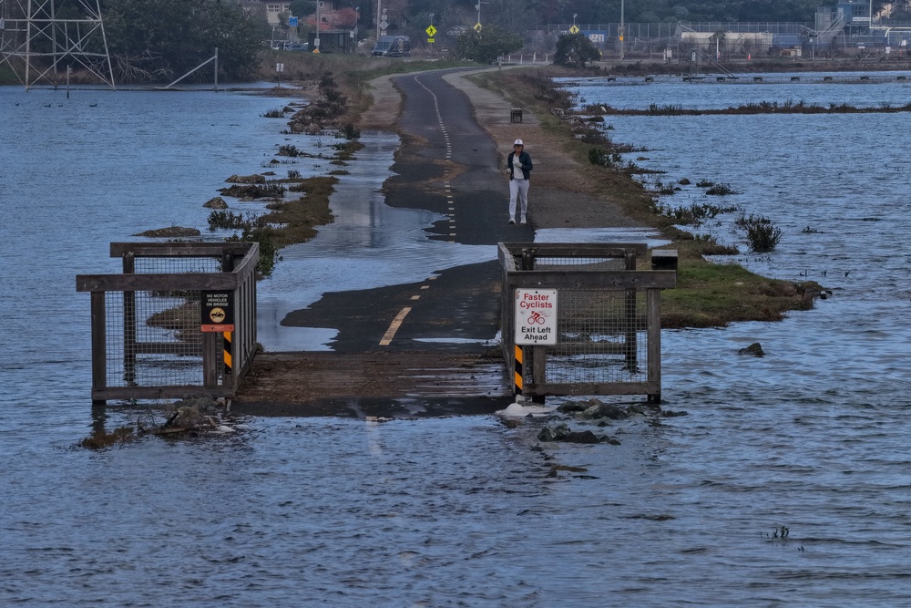 Rising sea levels globally are leading to higher salt in fresh water (Getty)