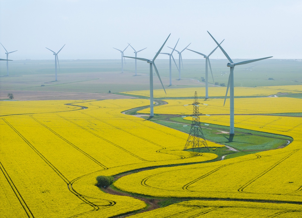 The US president has long voiced his dislike of wind turbines (Dan Kitwood/Getty Images)