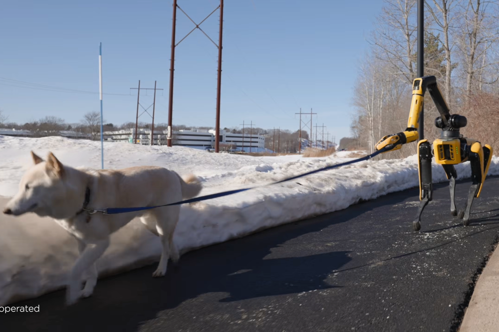 One demo shows Boston Dymanics' Spot robot walking a dog (Boston Dynamics)