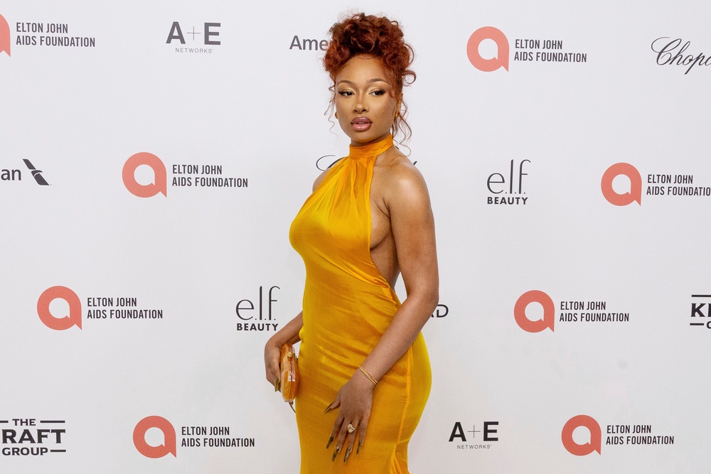 Megan Thee Stallion. Lanez is serving a 10-year sentence for shooting the hip-hop star in the feet (AP)