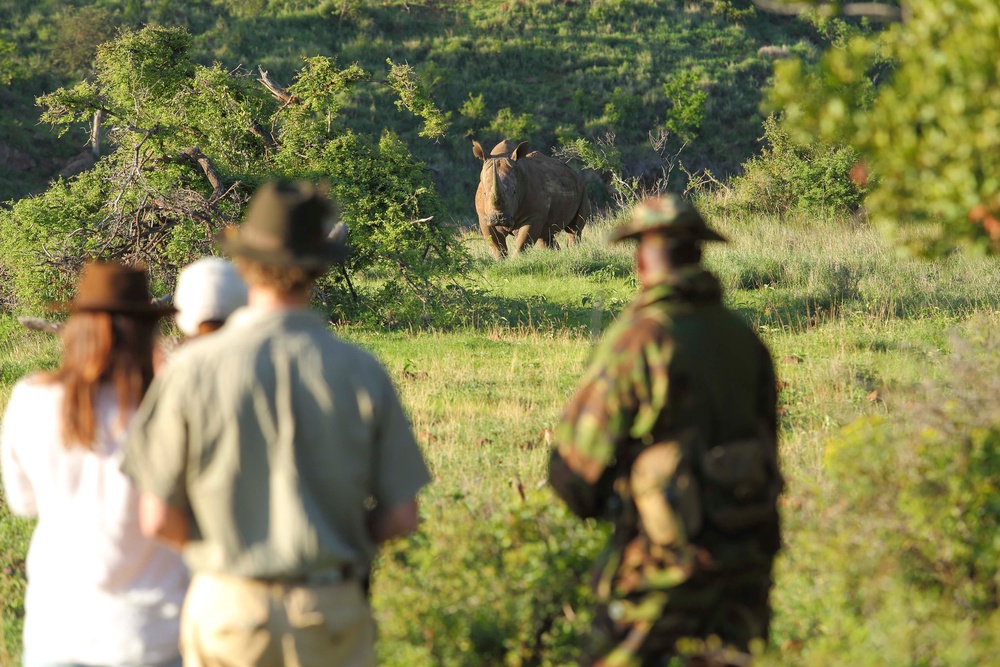 Borana and Lewa host around 12 per cent of Kenya’s endangered rhino population (Borana Lodge)