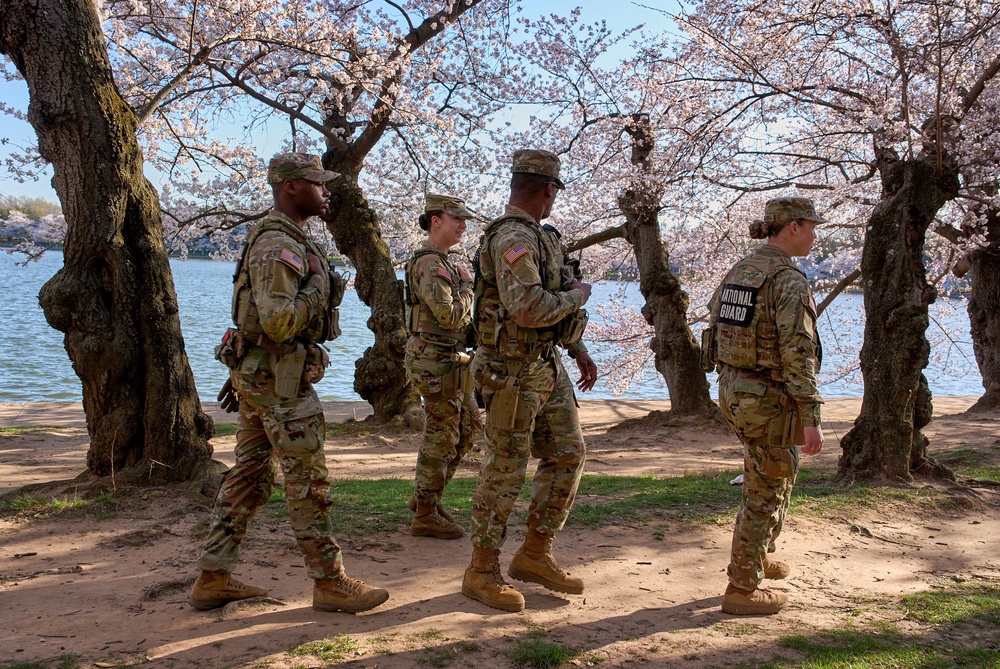 Members of the Mississippi National Guard patrol among the cherry blossom trees along the tidal basin, March 24, 2026, in Washington (AP)