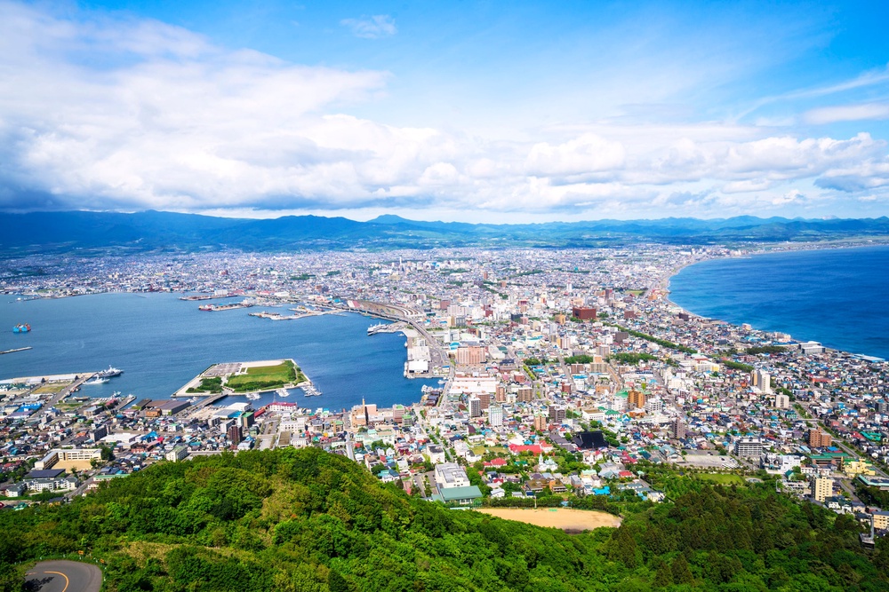Image from: Japan earthquake live: People urged not to return to coast despite tsunami warnings being downgraded