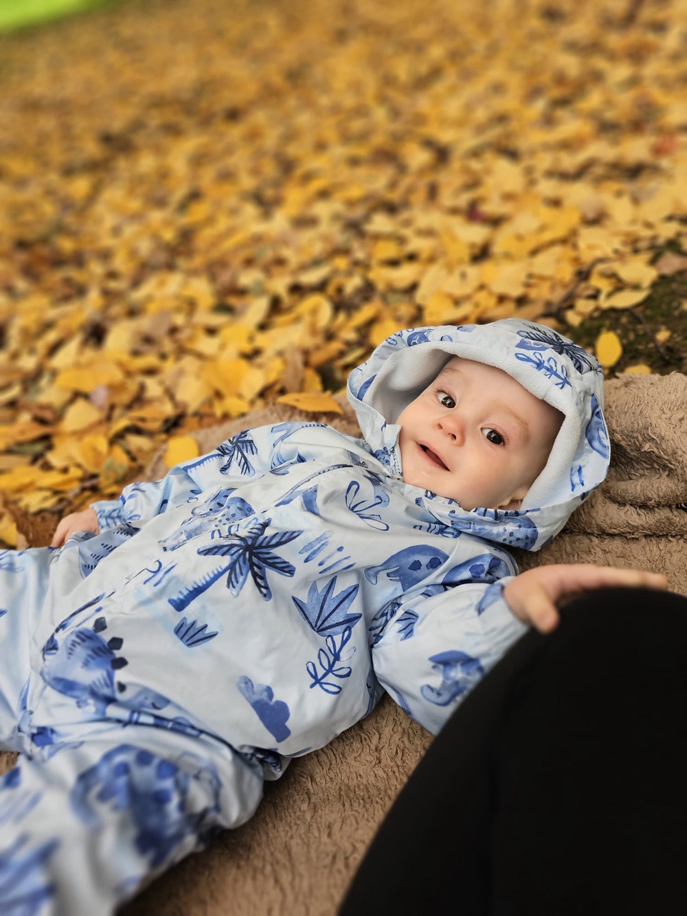 The procedure was used to help Arthur when he contracted parvovirus (NHSBT/PA) (PA Media)