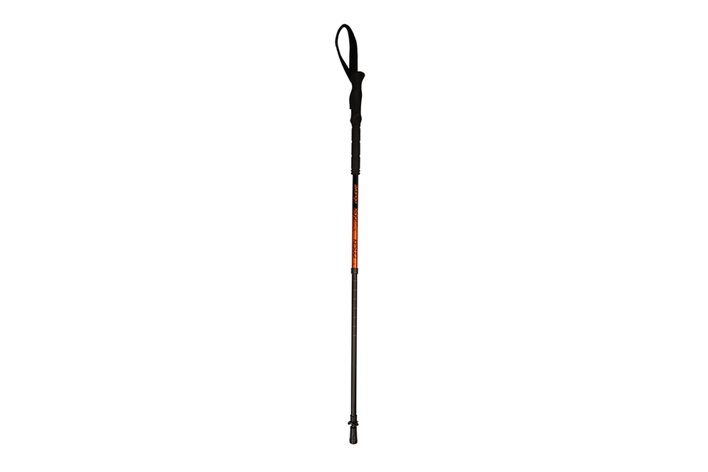 Image from: 9 best walking poles, trail-tested on real hiking adventures