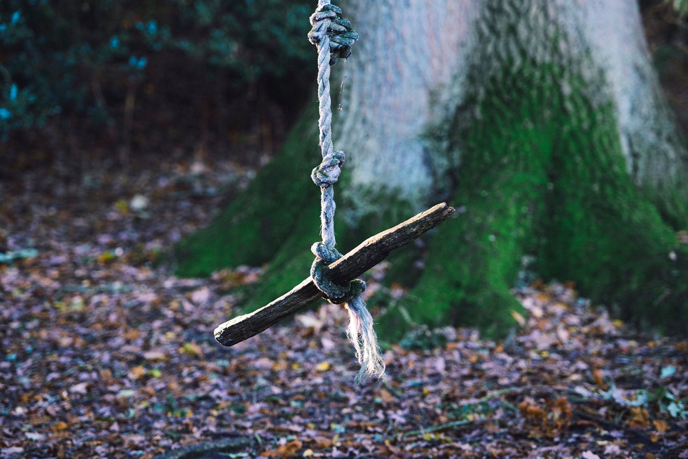 Brooke Wiggins was hit by a branch on a rope swing (Getty/iStock)